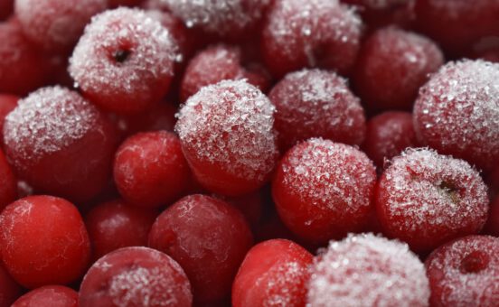 closeup-shot-frosted-red-berries (1)