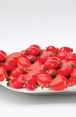 kusburnu