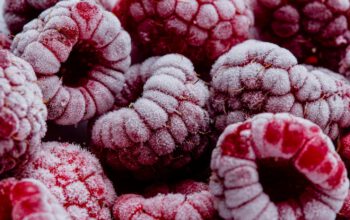 macro-frozen-fruits-arrangement (1) - Kopya