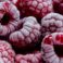 macro-frozen-fruits-arrangement (1) - Kopya